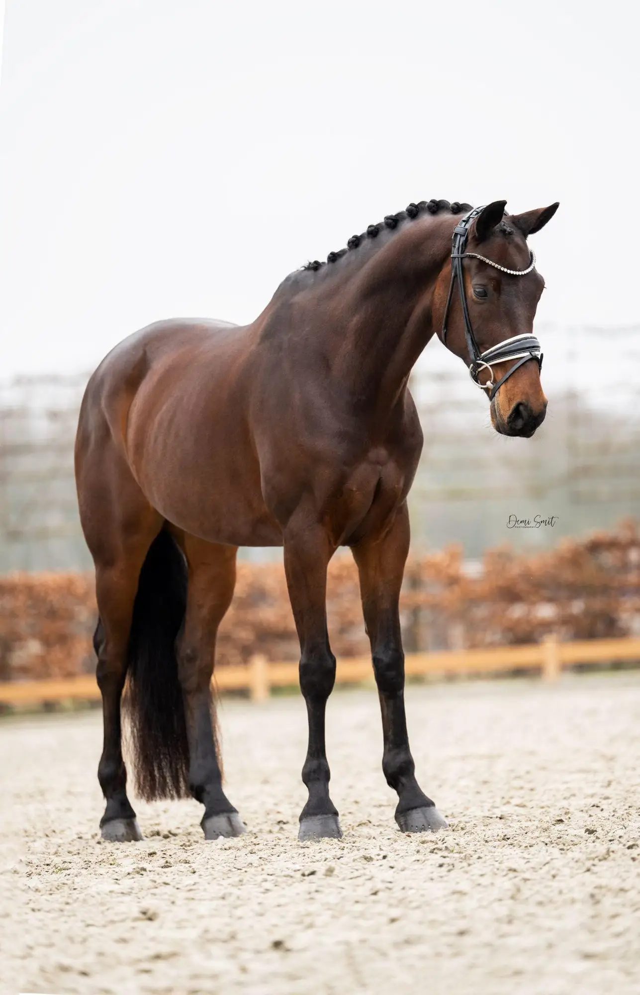 Kygo-Chippendale-UB-40-2