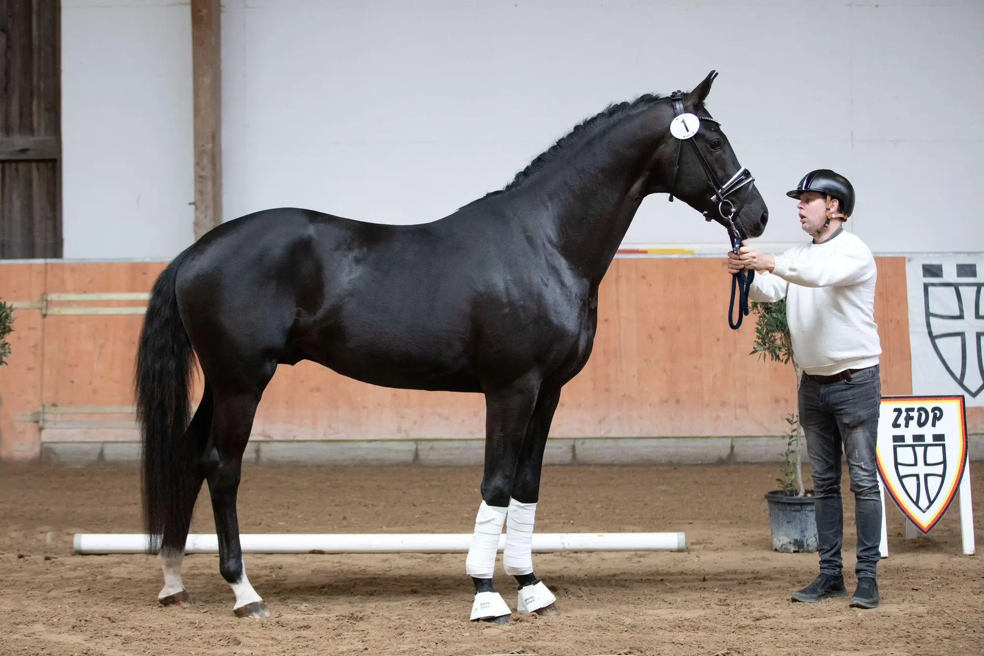stallion-pablo-escobar-damco-kjento-ub40-7