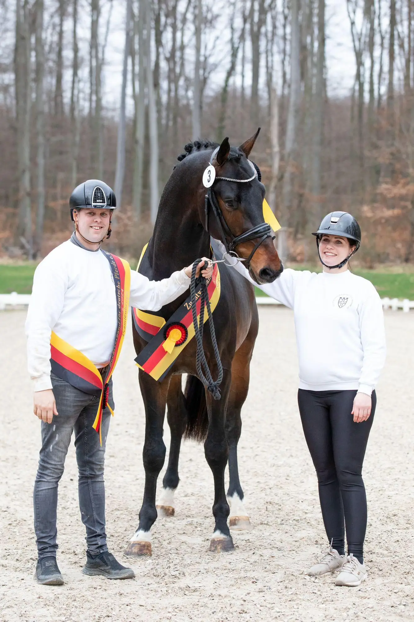 stallion-royal-albert-h-fontaineTN-Geniaal-6